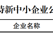 聚铭网络首批入选“2022年江苏省专精特新企业”！